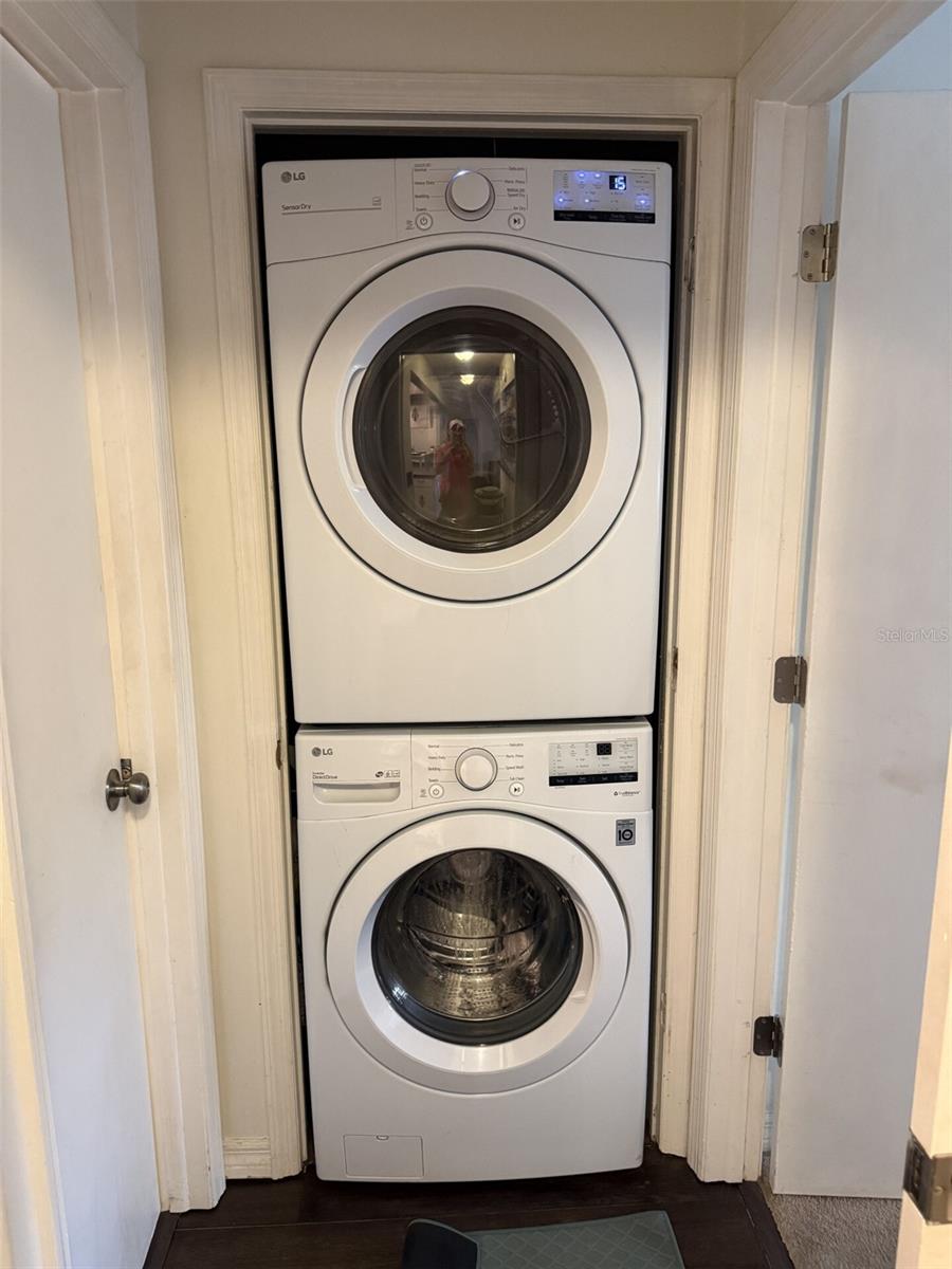 2314 S CLEWIS CT #204, TAMPA, FL, 33629