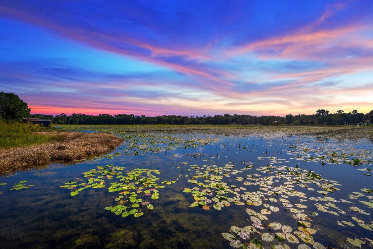 832 LAKE SHORE TER, INTERLACHEN, FL, 32148