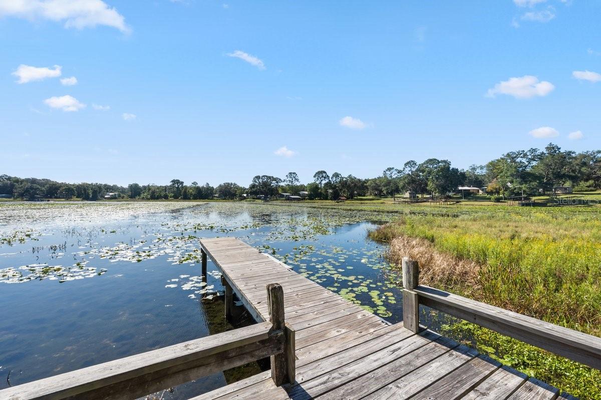 832 LAKE SHORE TER, INTERLACHEN, FL, 32148