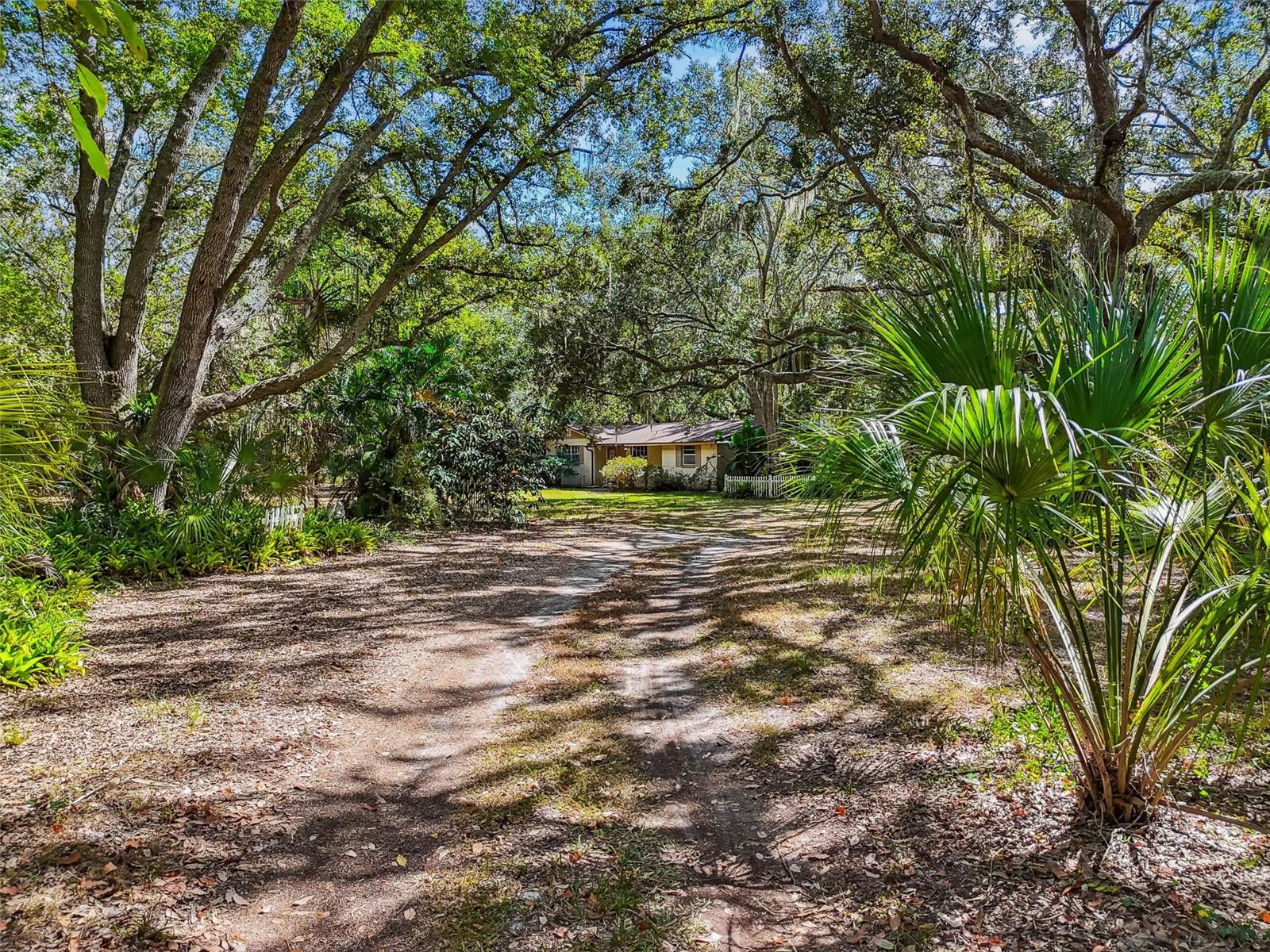 12944 LINCOLN RD, RIVERVIEW, FL, 33578