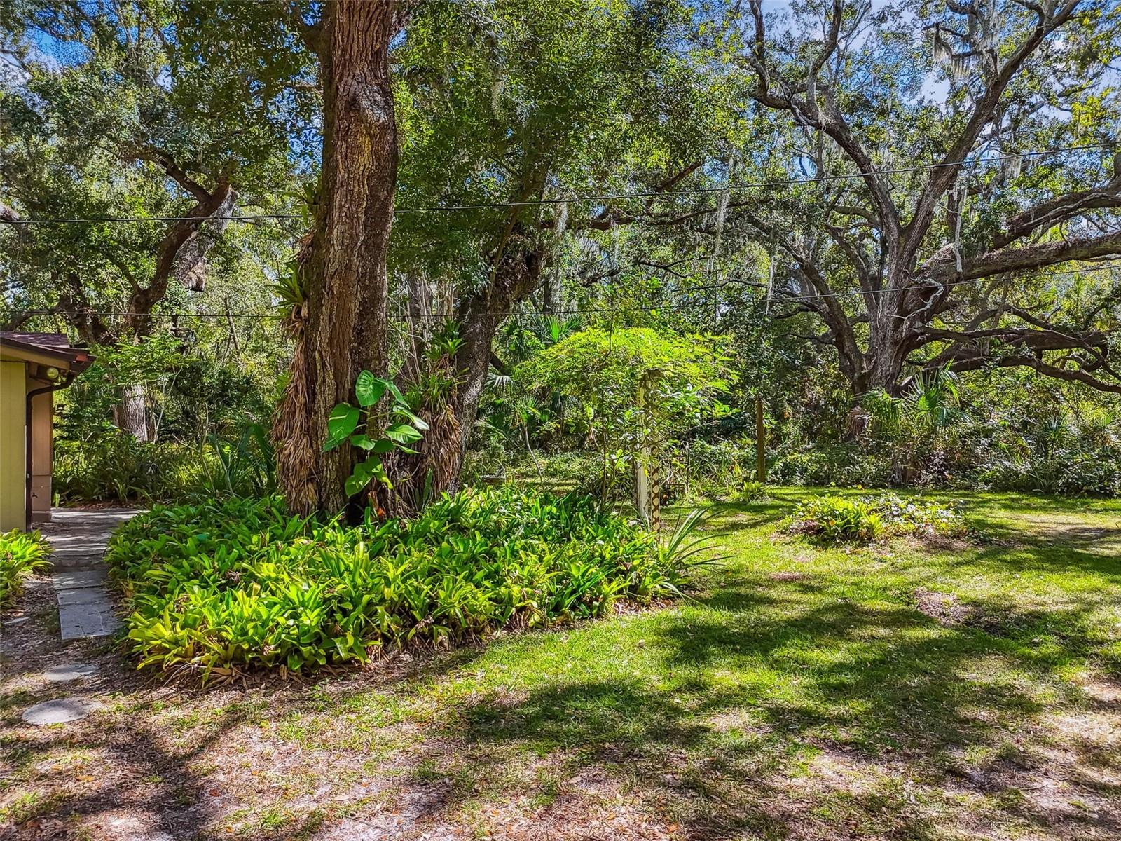 12944 LINCOLN RD, RIVERVIEW, FL, 33578