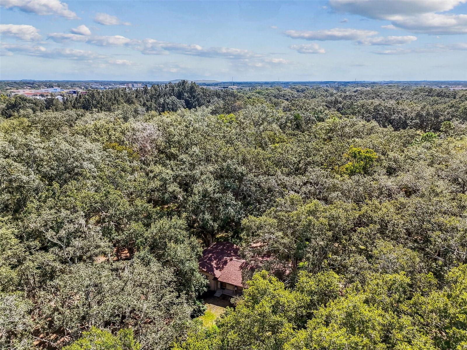 12944 LINCOLN RD, RIVERVIEW, FL, 33578