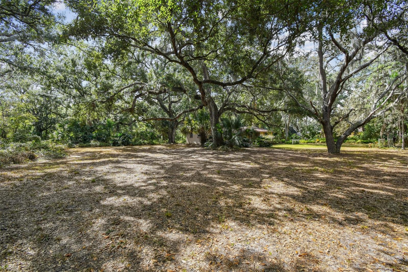 12944 LINCOLN RD, RIVERVIEW, FL, 33578