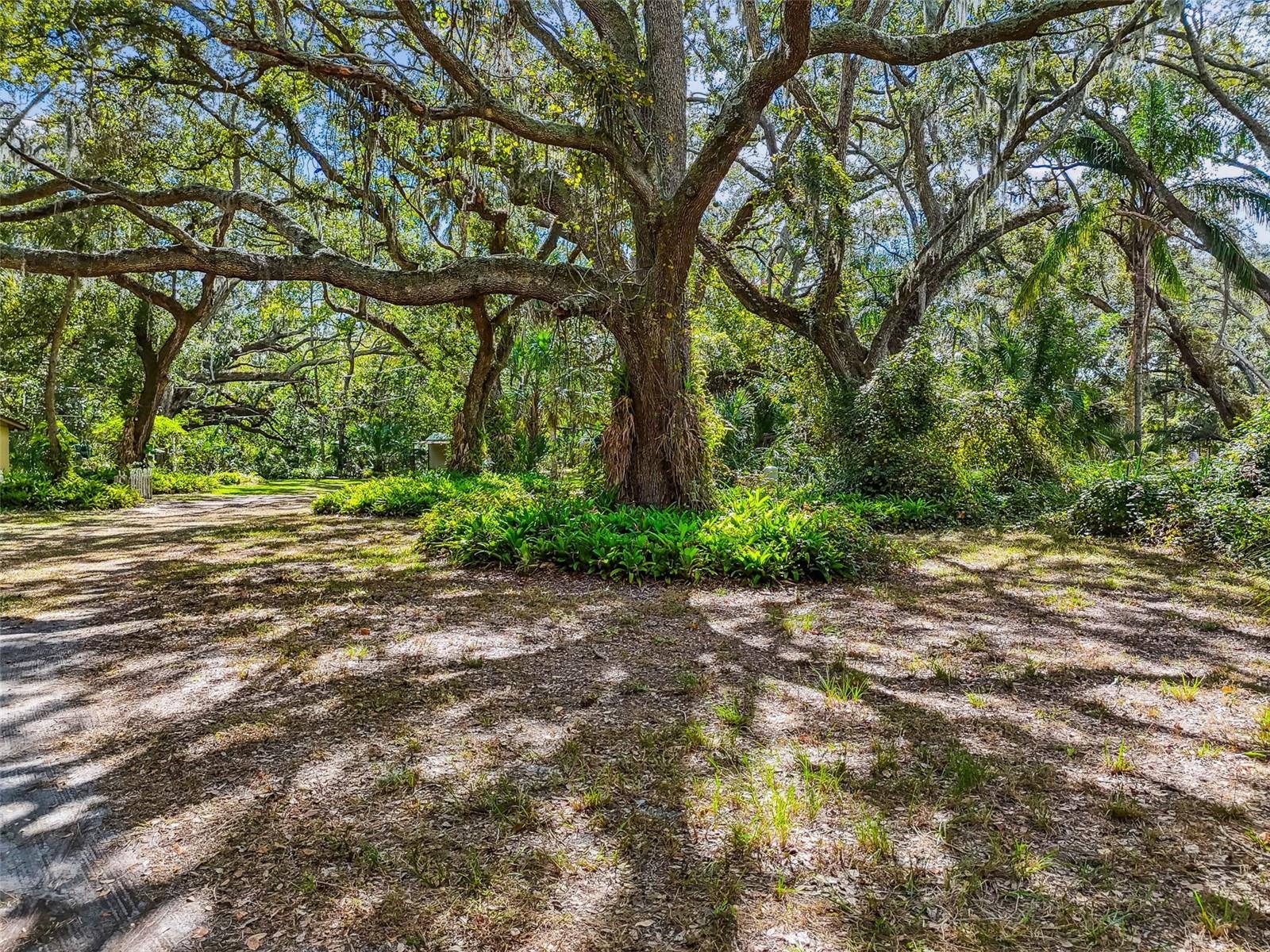 12944 LINCOLN RD, RIVERVIEW, FL, 33578