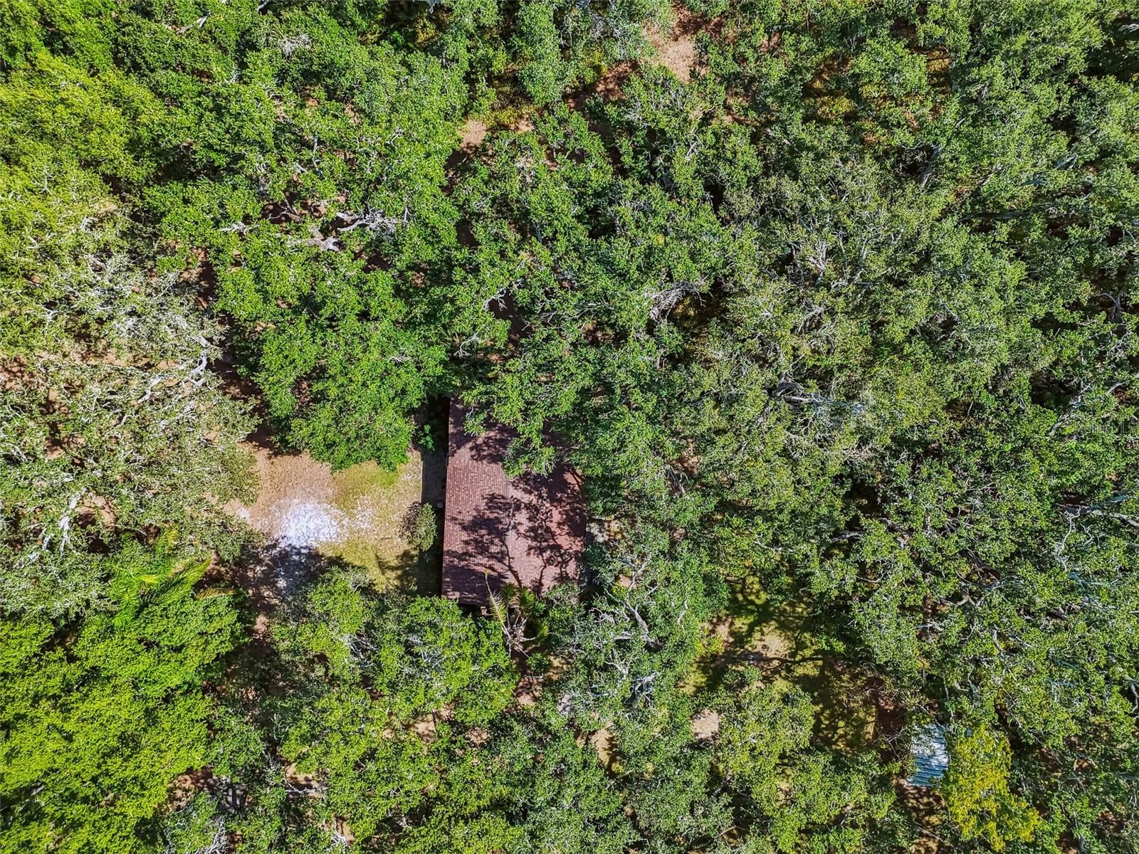 12944 LINCOLN RD, RIVERVIEW, FL, 33578