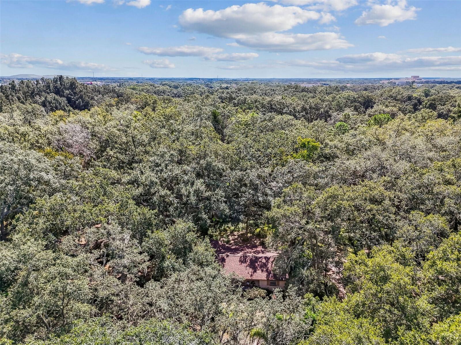 12944 LINCOLN RD, RIVERVIEW, FL, 33578