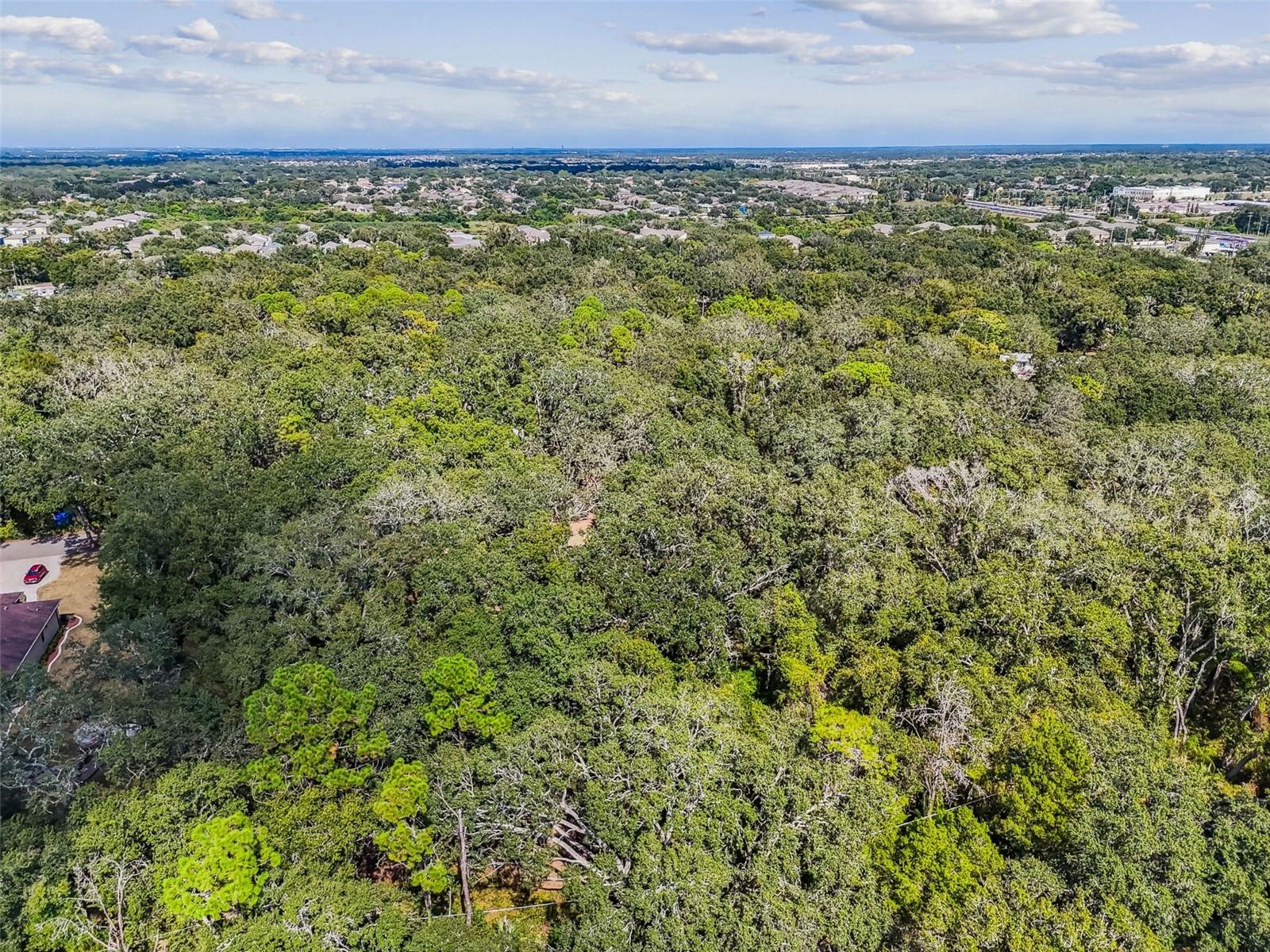 12944 LINCOLN RD, RIVERVIEW, FL, 33578