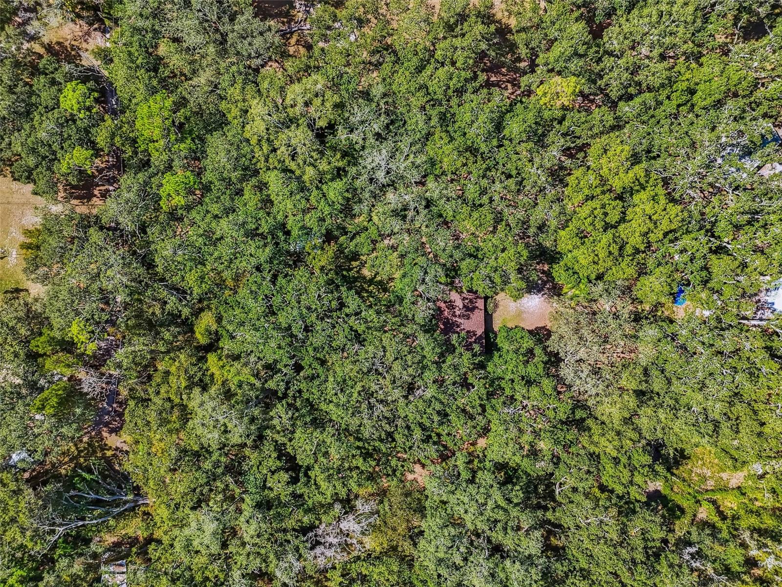 12944 LINCOLN RD, RIVERVIEW, FL, 33578