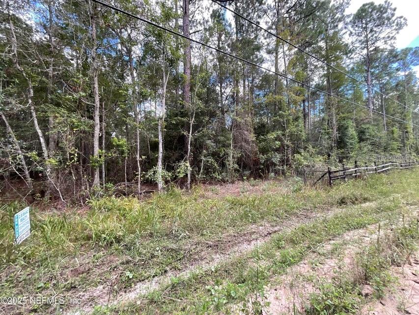 3089 VERONICA AVE, MIDDLEBURG, FL, 32068