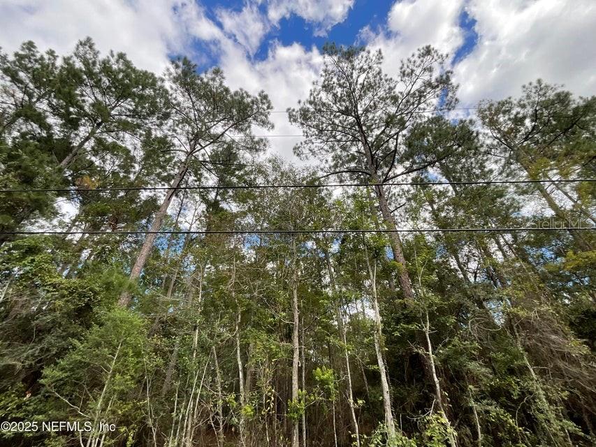 3089 VERONICA AVE, MIDDLEBURG, FL, 32068