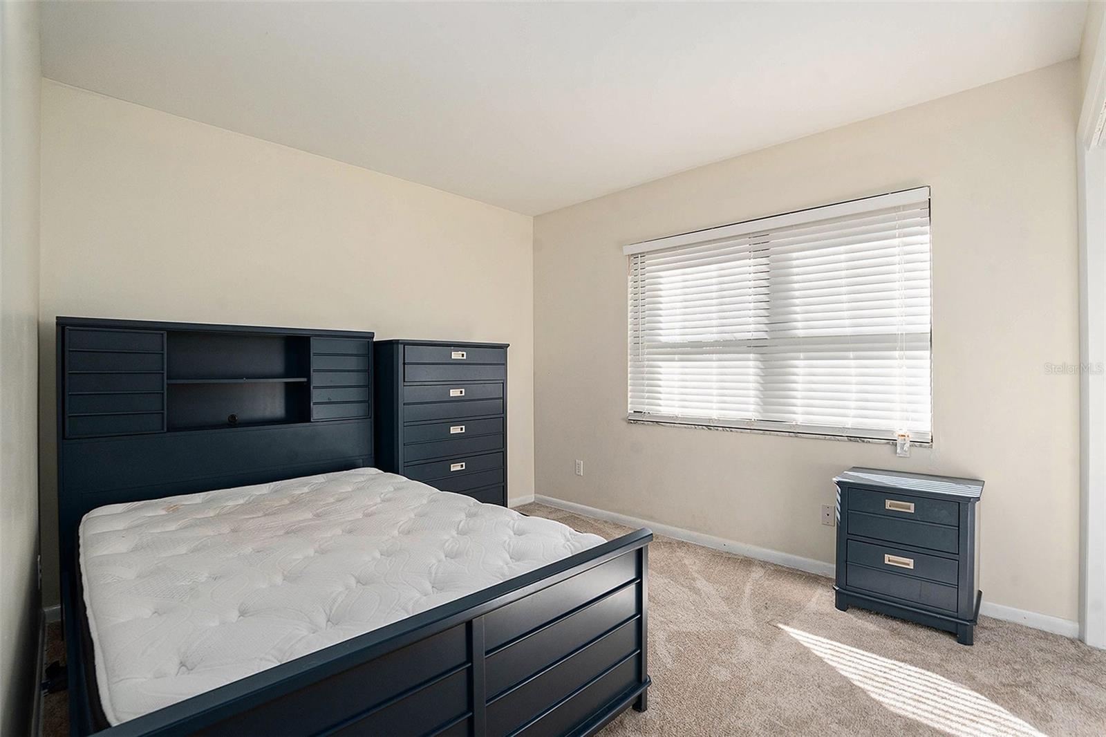 10910 CARROLLWOOD DR, TAMPA, FL, 33618