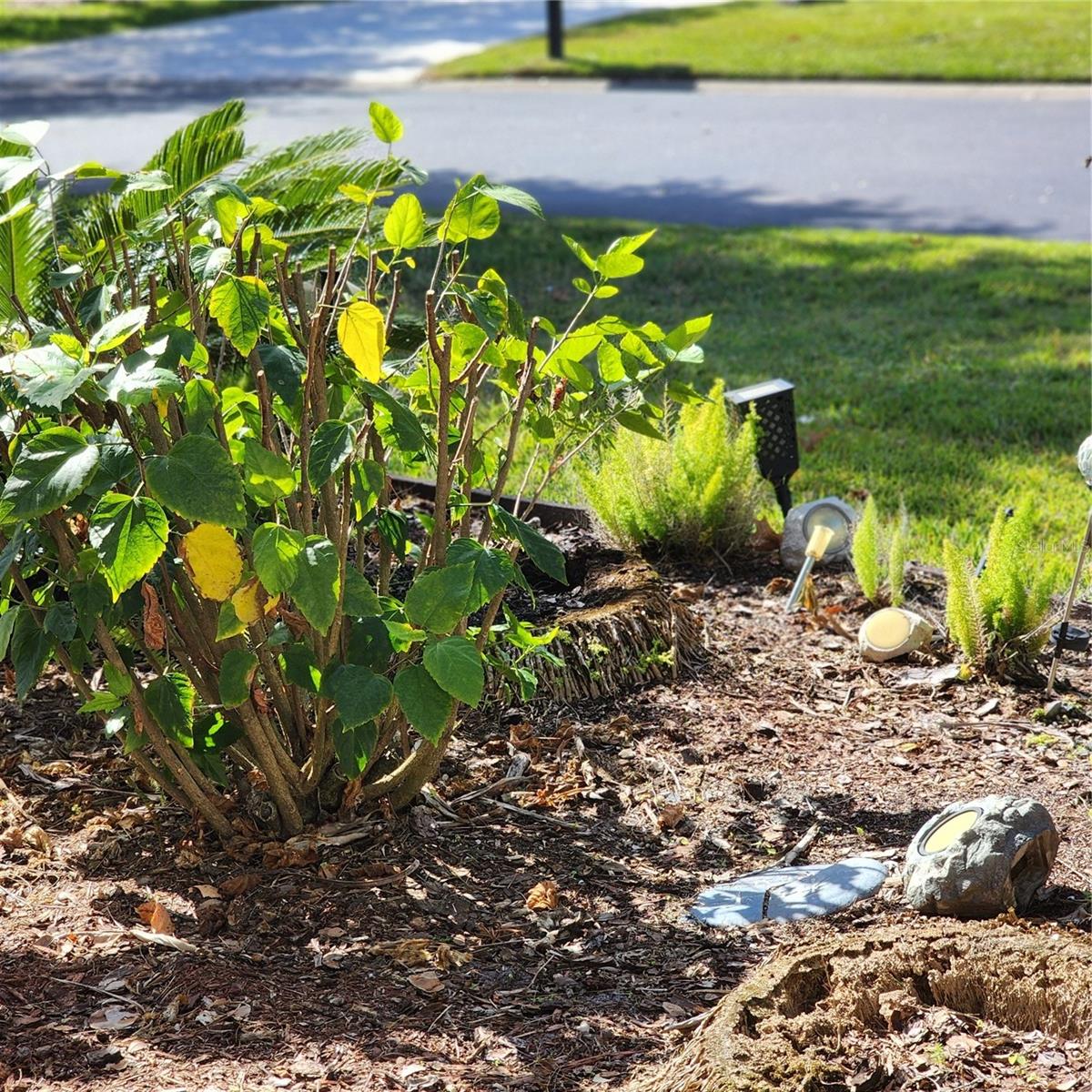 107 RAINTREE CIR, PALM COAST, FL, 32164