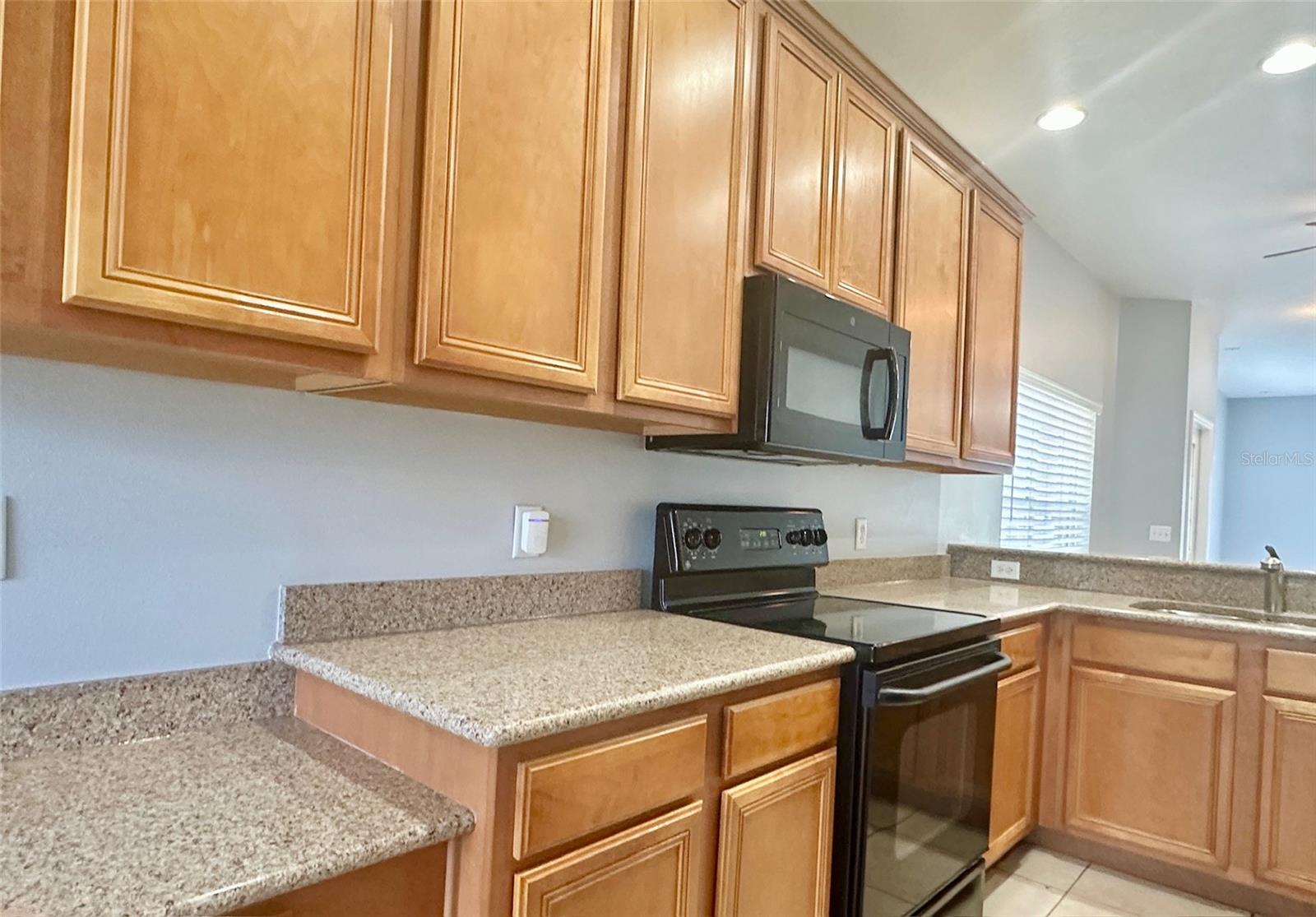 20307 W OAK KEY CT, TAMPA, FL, 33647