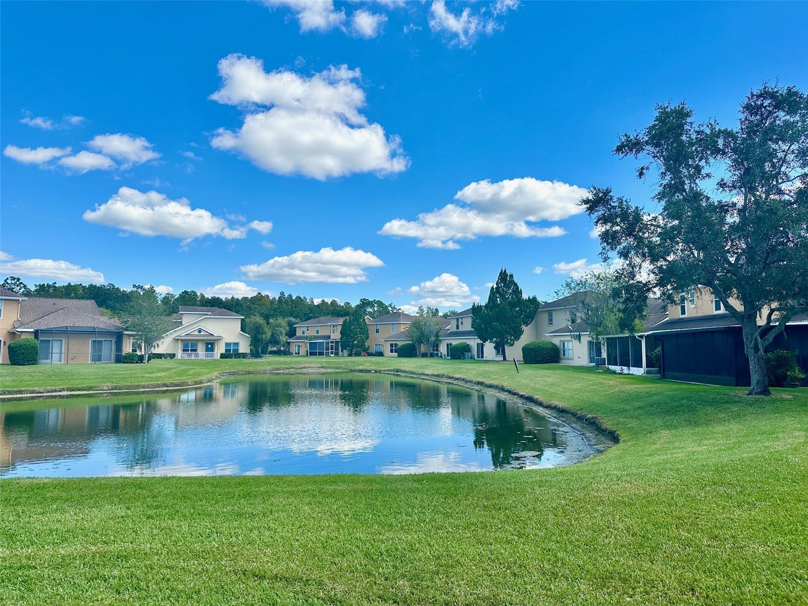 20307 W OAK KEY CT, TAMPA, FL, 33647