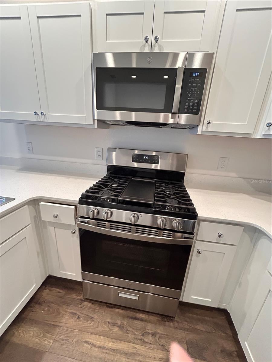 1225 SEAN CURRAN CT, THE VILLAGES, FL, 34762