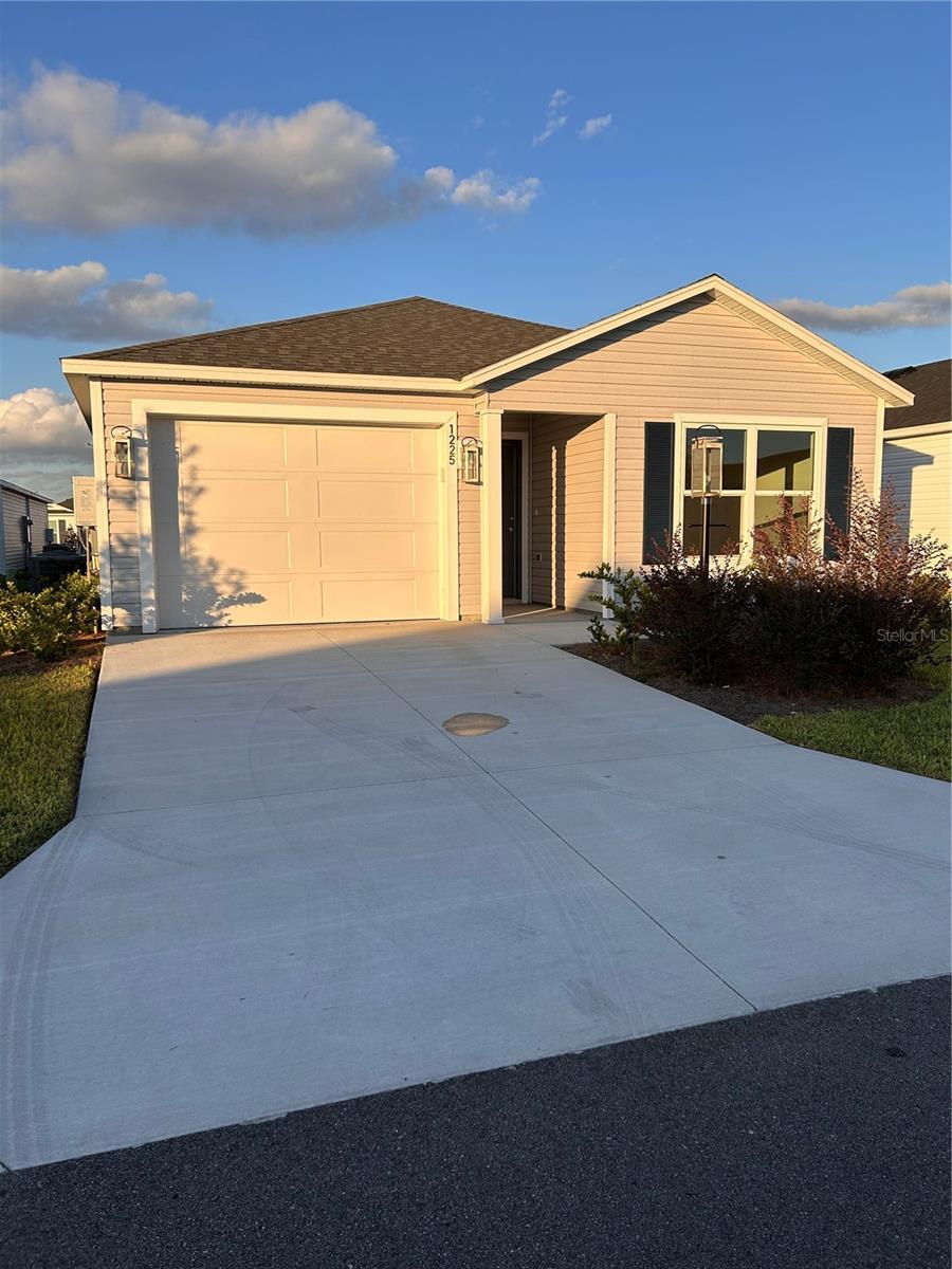 1225 SEAN CURRAN CT, THE VILLAGES, FL, 34762