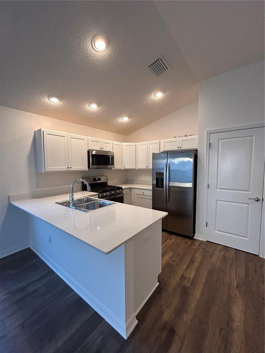 1225 SEAN CURRAN CT, THE VILLAGES, FL, 34762