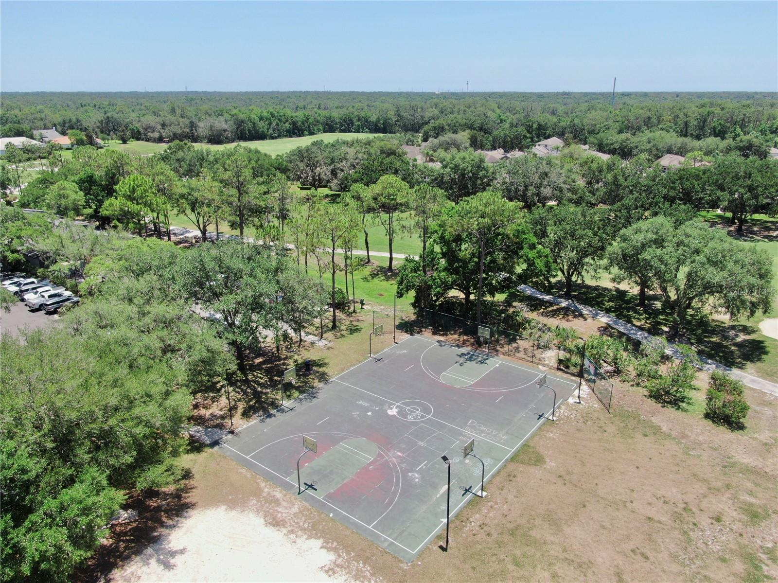 3506 CORDGRASS DR, VALRICO, FL, 33596