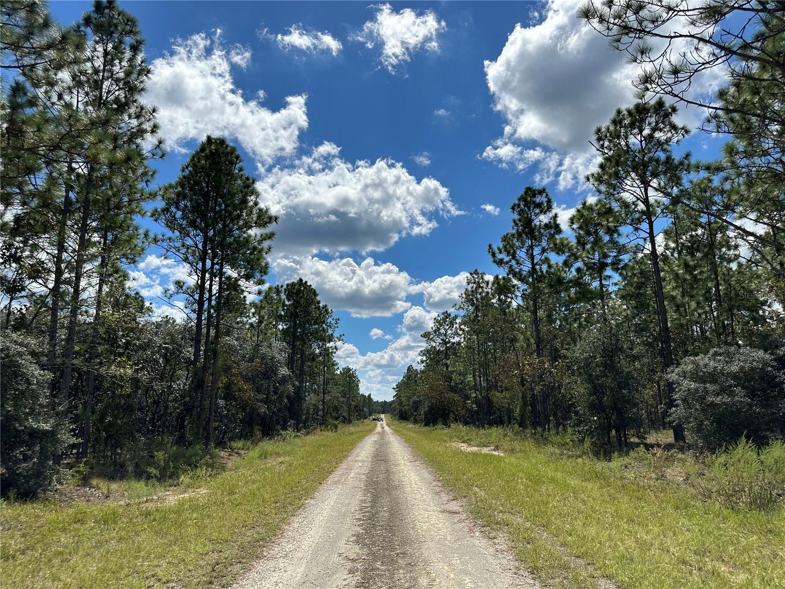 TBD SE 136TH AVE, DUNNELLON, FL, 34431