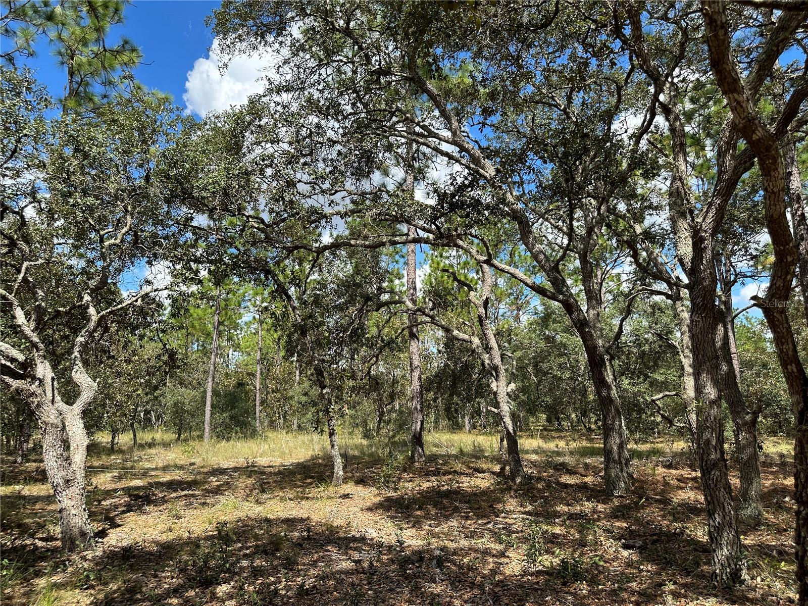 TBD SE 136TH AVE, DUNNELLON, FL, 34431