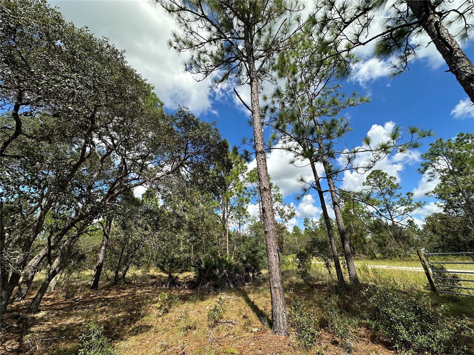 TBD SE 136TH AVE, DUNNELLON, FL, 34431