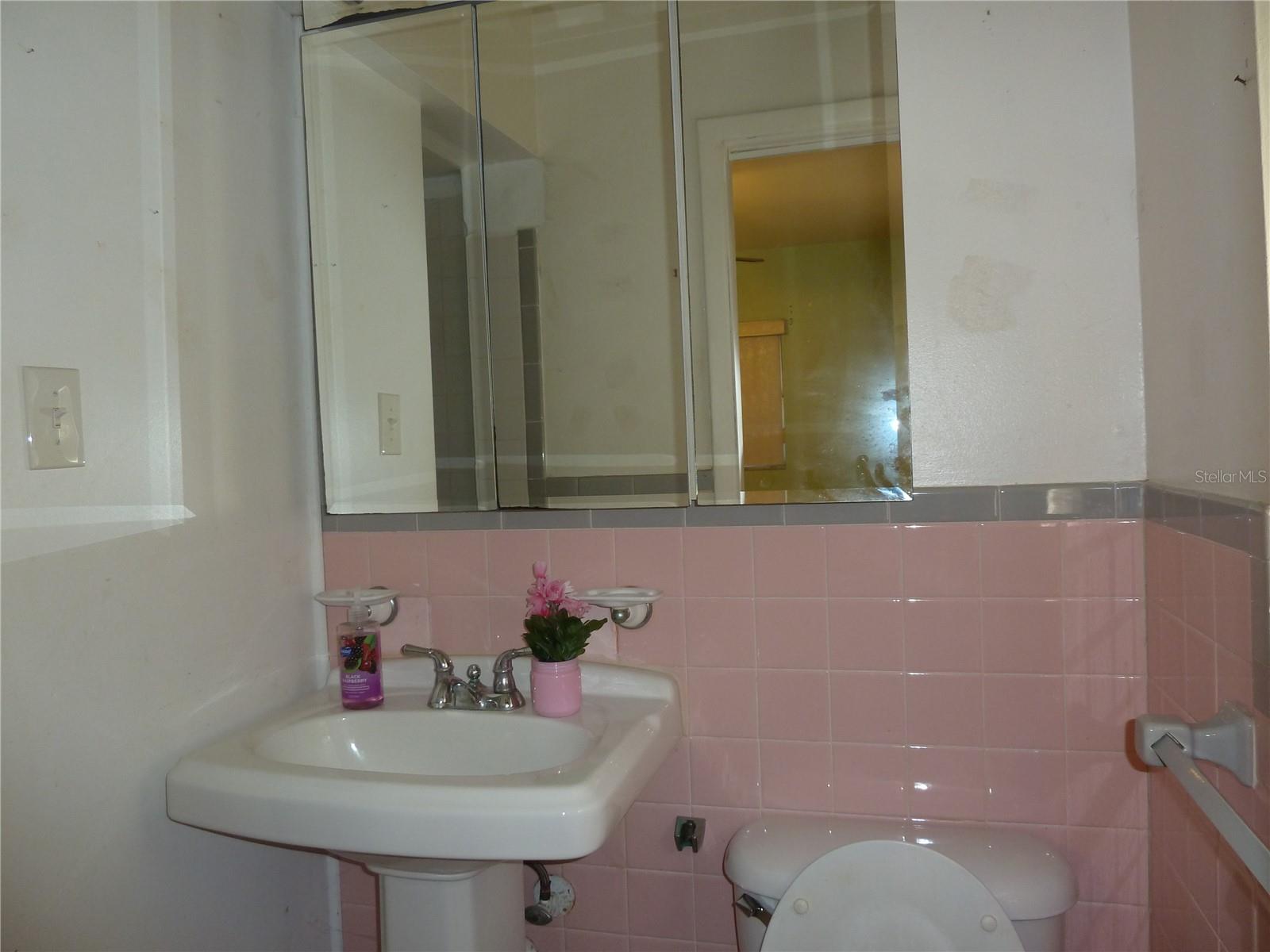 7406 MANCHESTER LN, TAMPA, FL, 33619