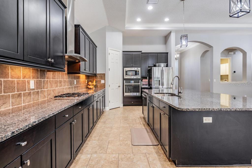 19402 AUTUMN CHASE CT, LAND O LAKES, FL, 34638