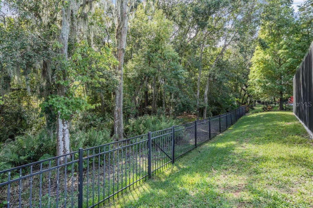 19402 AUTUMN CHASE CT, LAND O LAKES, FL, 34638