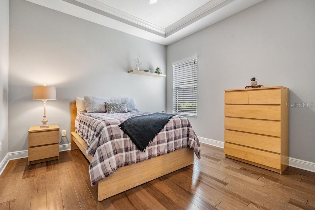 19402 AUTUMN CHASE CT, LAND O LAKES, FL, 34638