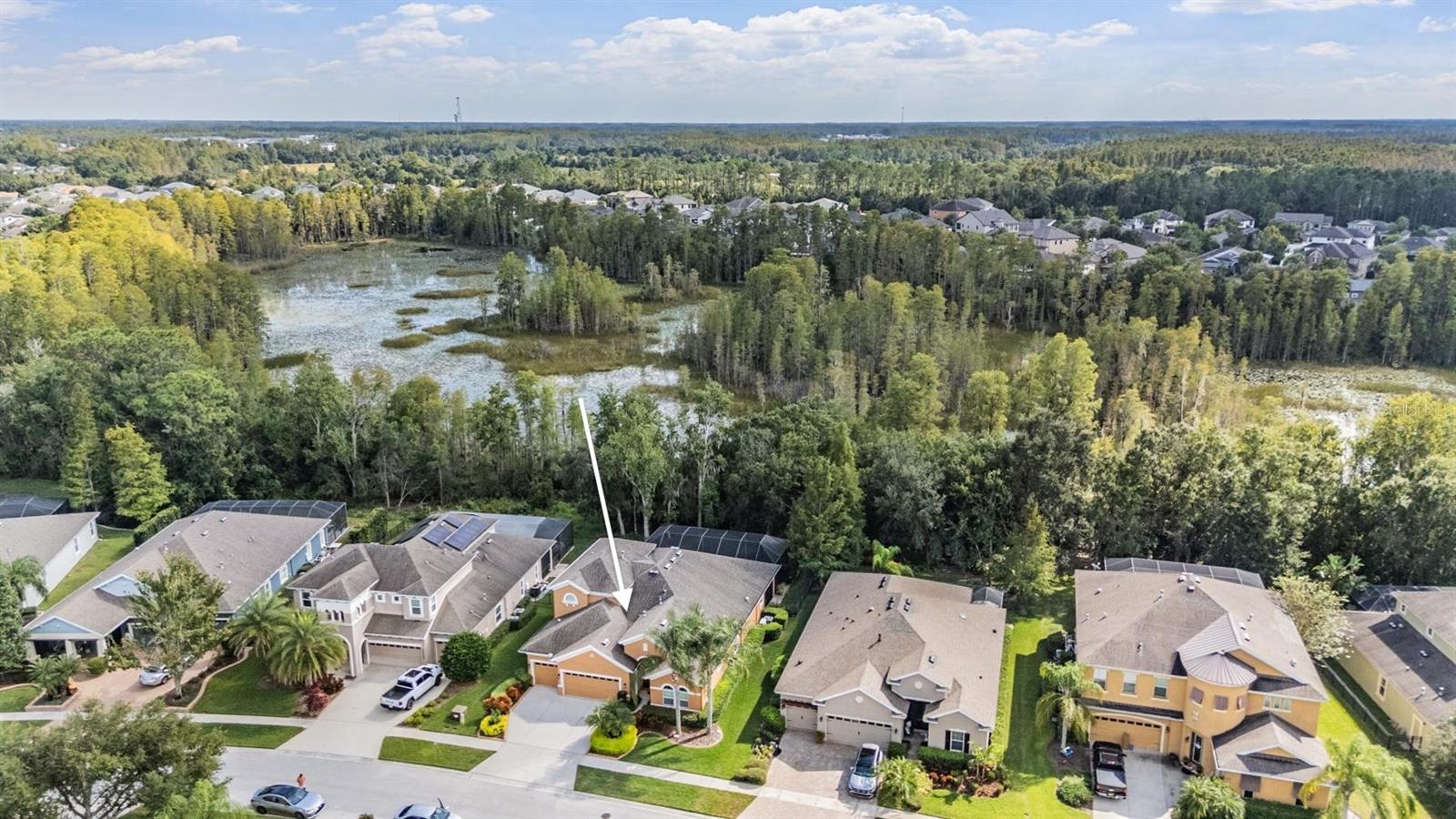 19402 AUTUMN CHASE CT, LAND O LAKES, FL, 34638