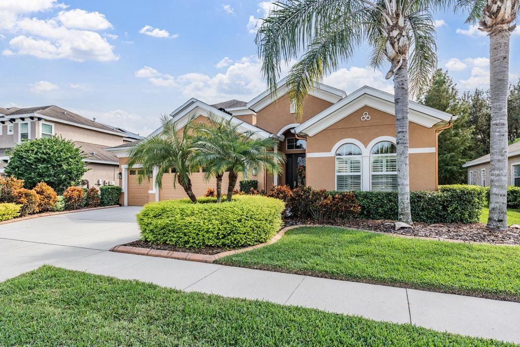 19402 AUTUMN CHASE CT, LAND O LAKES, FL, 34638