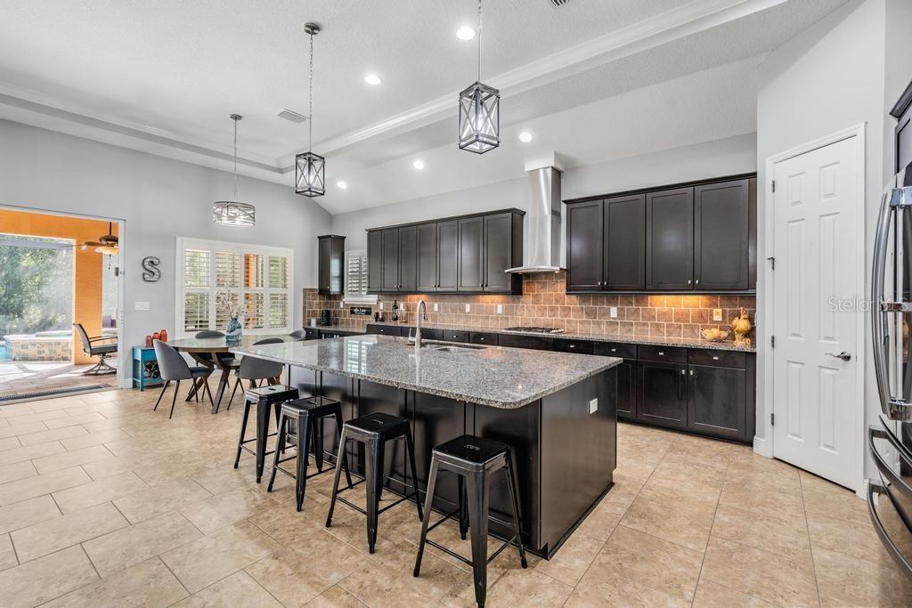 19402 AUTUMN CHASE CT, LAND O LAKES, FL, 34638