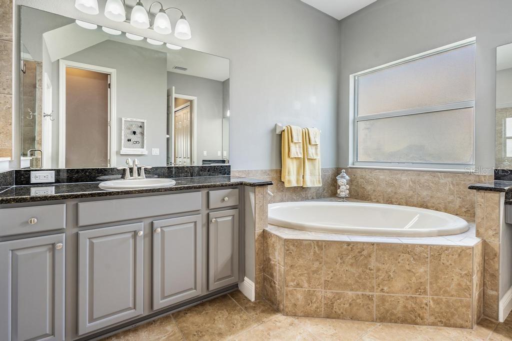 19402 AUTUMN CHASE CT, LAND O LAKES, FL, 34638