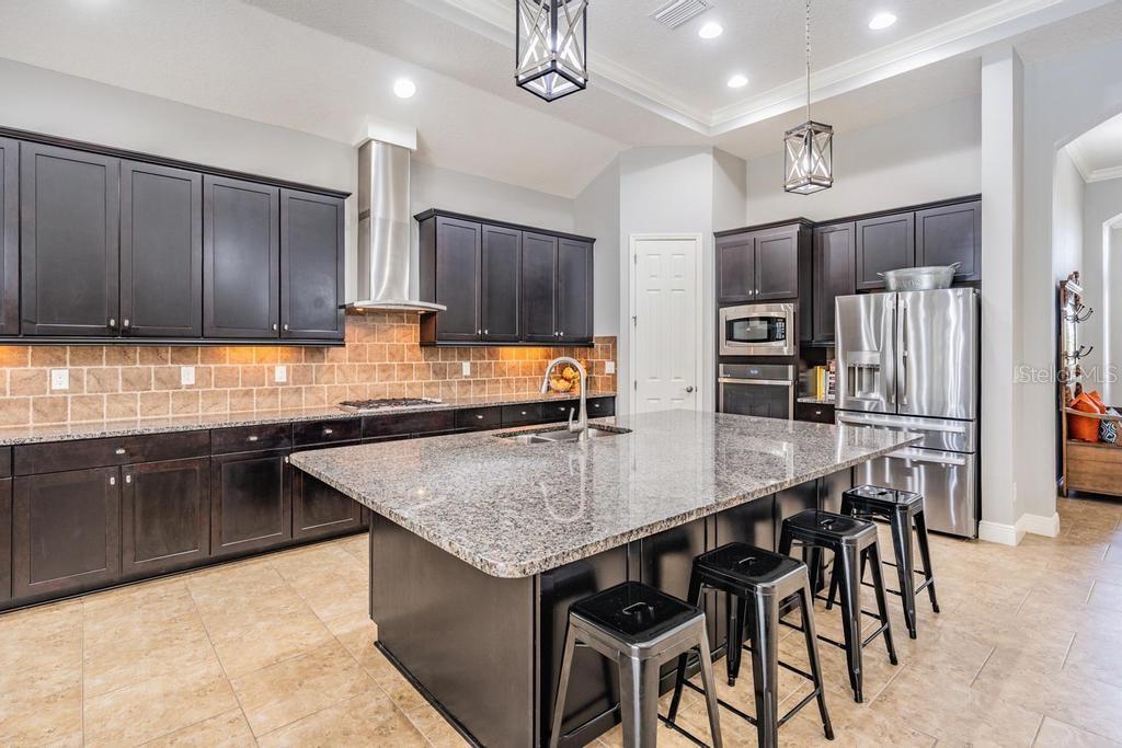 19402 AUTUMN CHASE CT, LAND O LAKES, FL, 34638