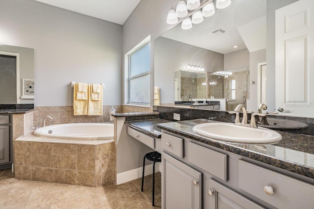 19402 AUTUMN CHASE CT, LAND O LAKES, FL, 34638