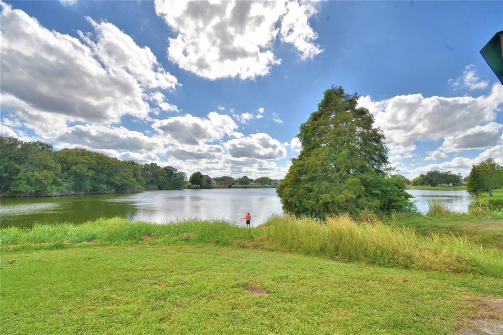 1428 GLENDALE ST, LAKELAND, FL, 33803