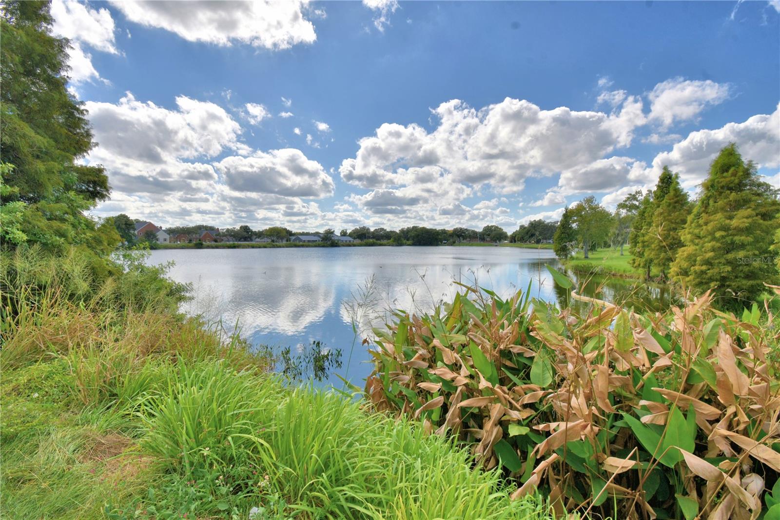 1428 GLENDALE ST, LAKELAND, FL, 33803