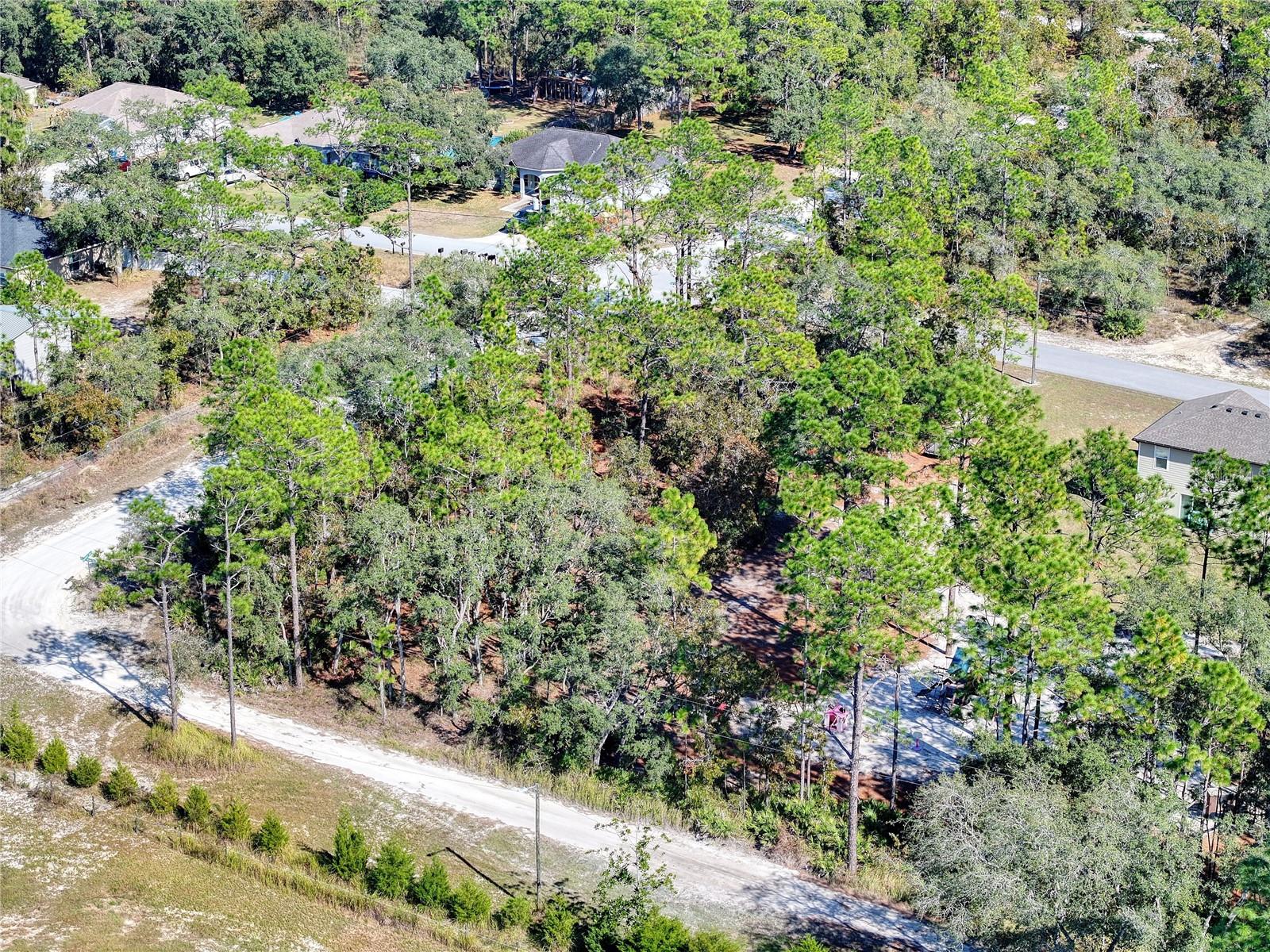 10484 SNOWBIRD AVE, WEEKI WACHEE, FL, 34614