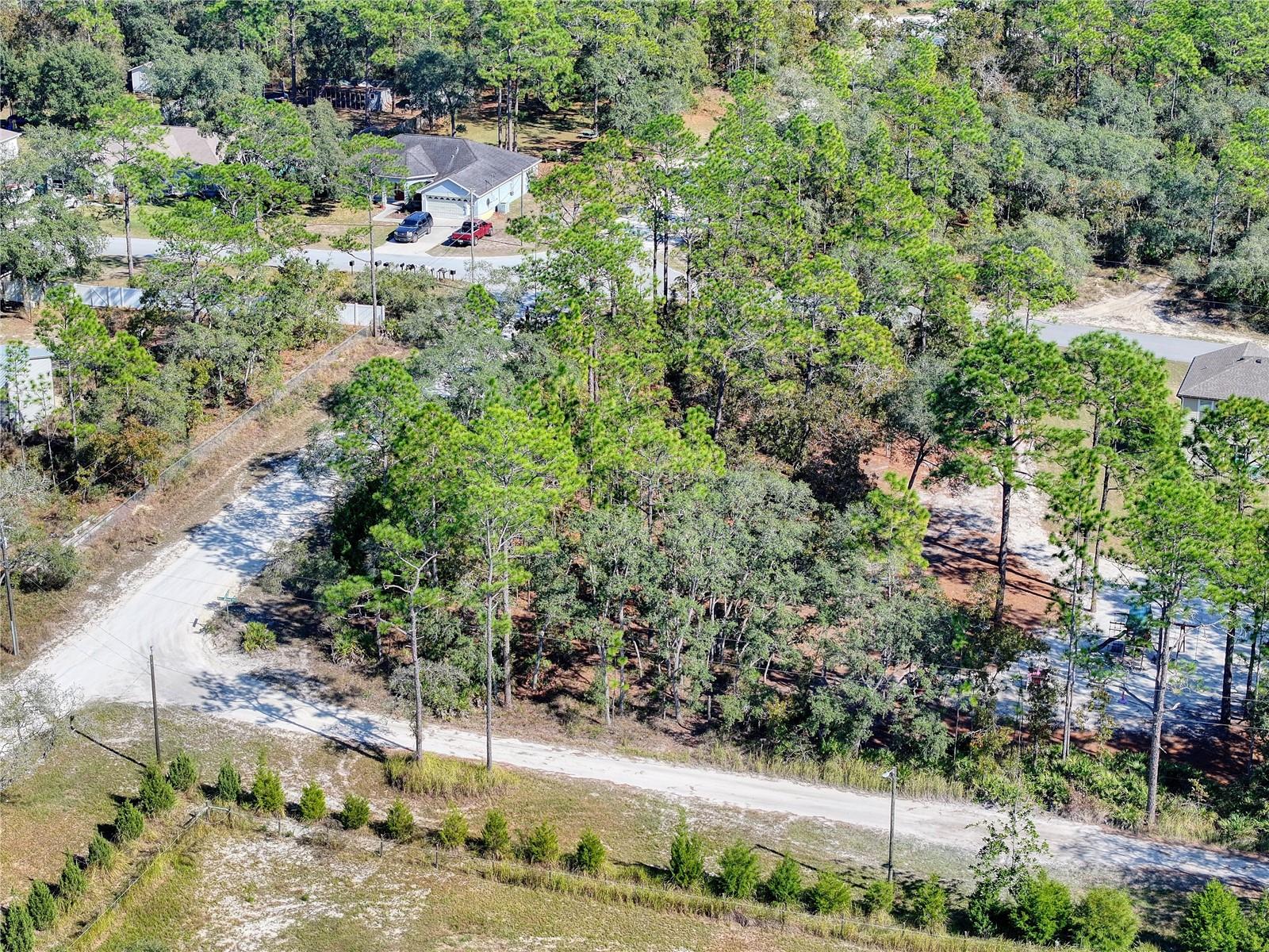 10484 SNOWBIRD AVE, WEEKI WACHEE, FL, 34614