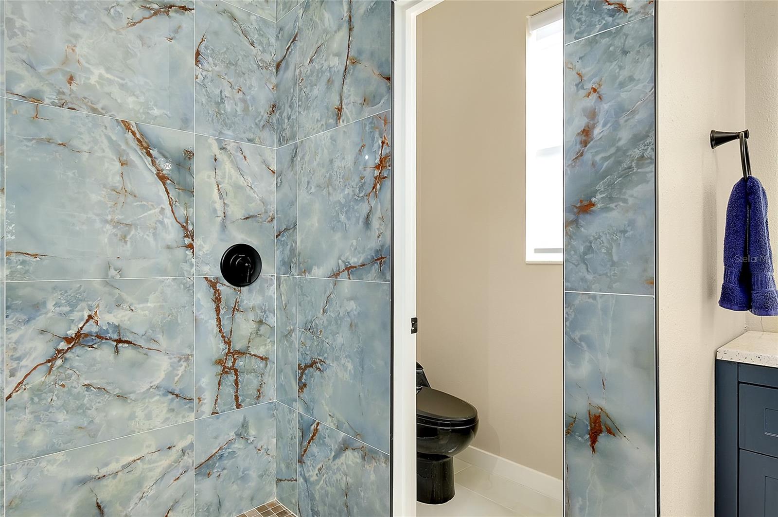 10142 GLENMORE AVE, LAKEWOOD RANCH, FL, 34202