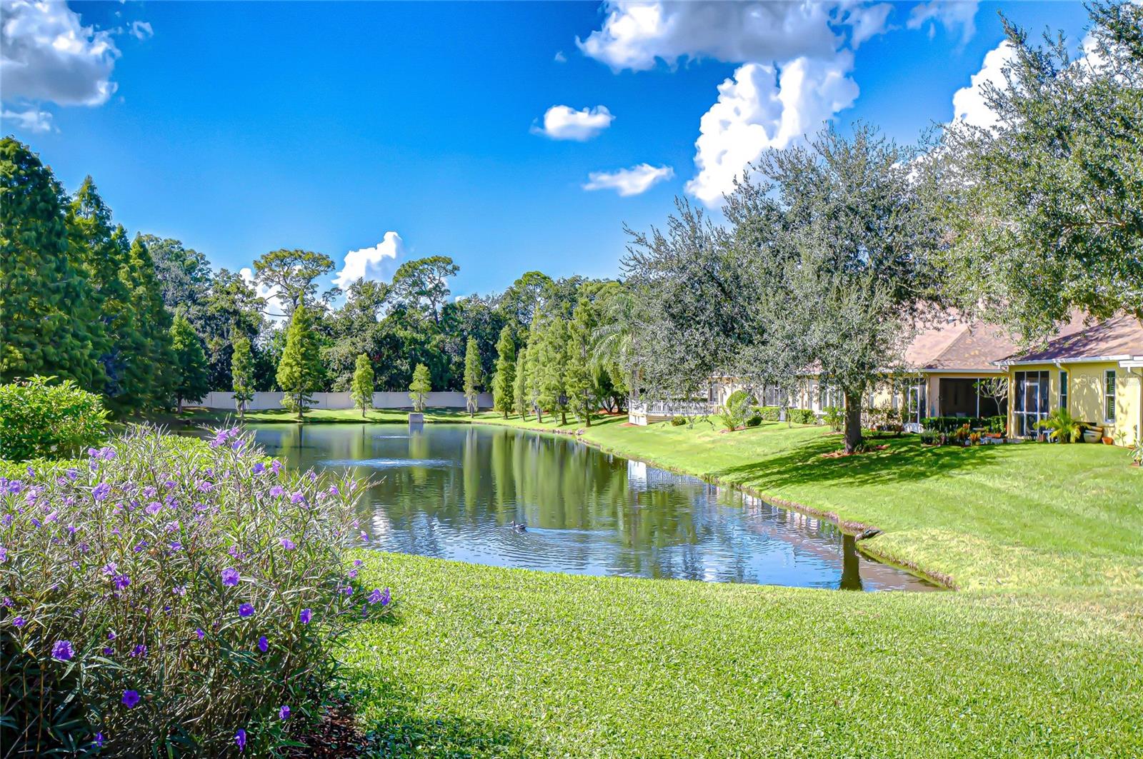 3610 SAVANNAH LAKE PL, VALRICO, FL, 33596