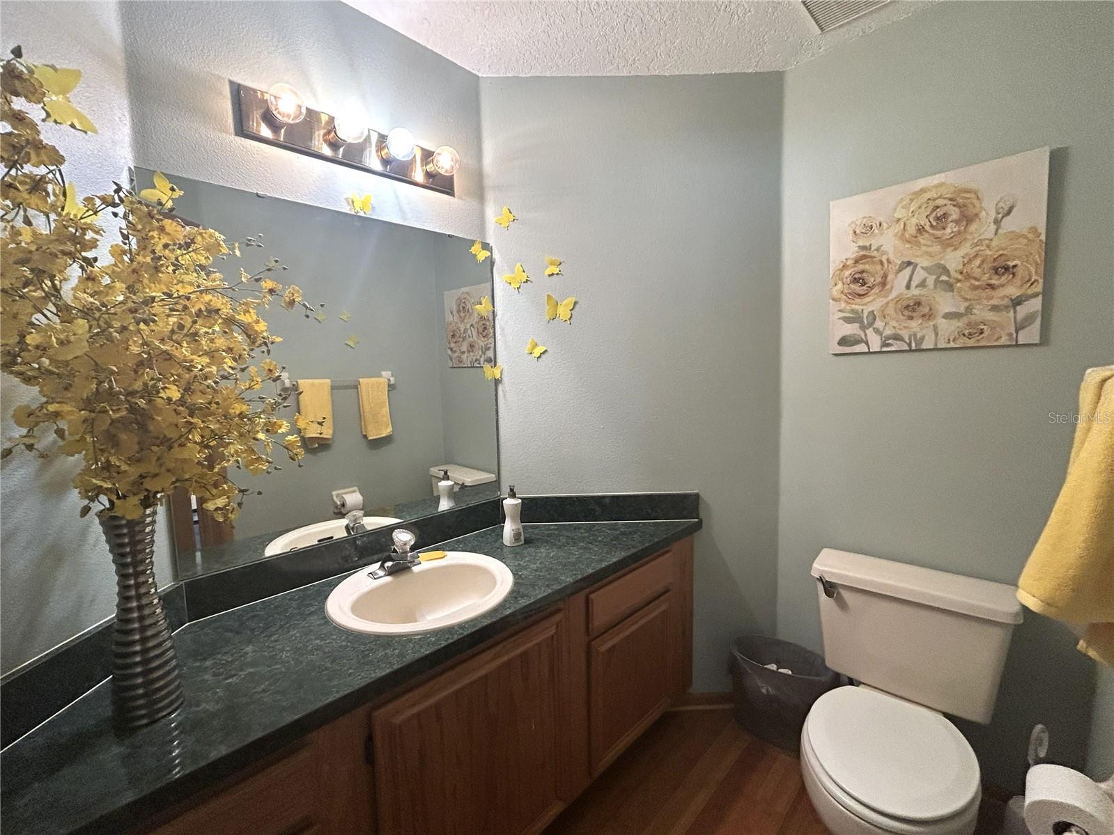 12823 SHARP SHINED ST, ORLANDO, FL, 32837