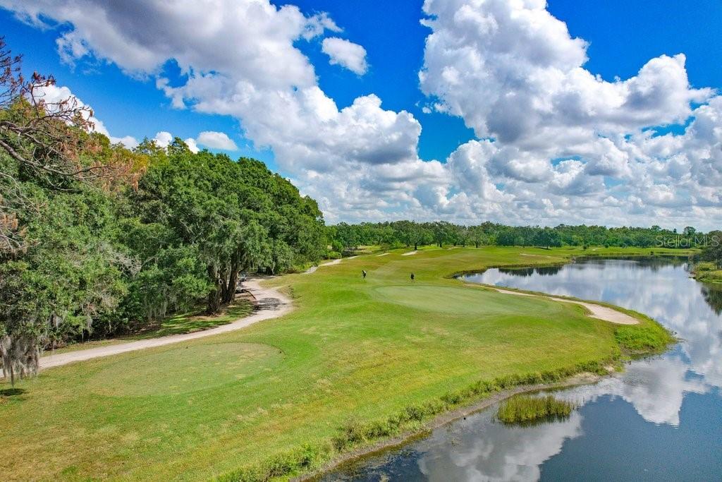 3614 GAVIOTA DR, SUN CITY CENTER, FL, 33573