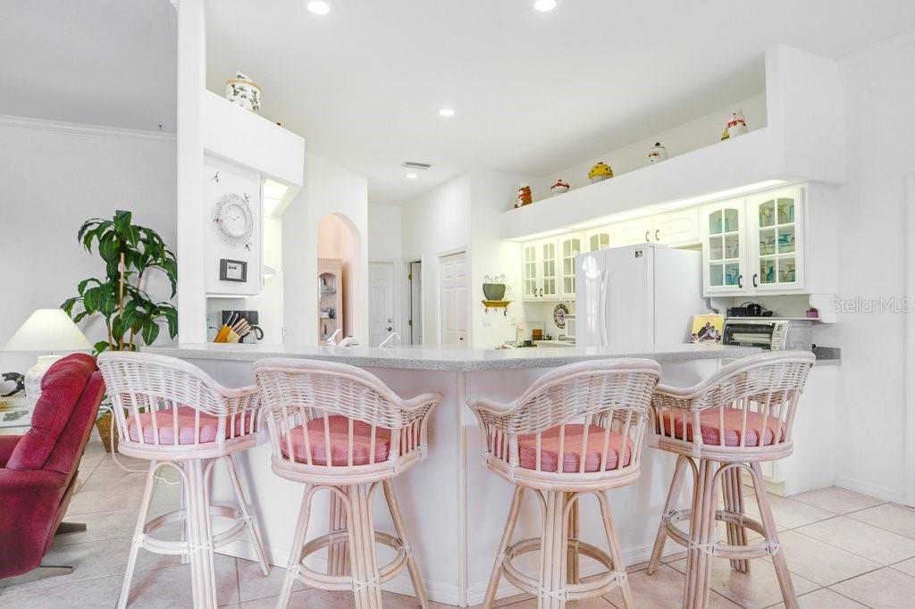 3614 GAVIOTA DR, SUN CITY CENTER, FL, 33573