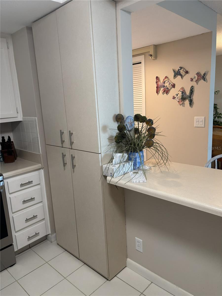 675 S GULFVIEW BLVD #808, CLEARWATER BEACH, FL, 33767