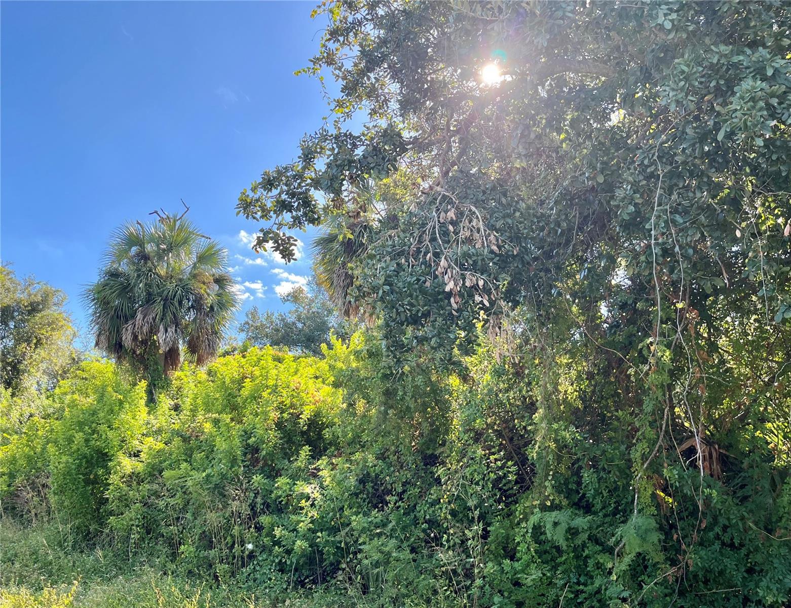 PORT CHARLOTTE SEC 018, PORT CHARLOTTE, FL, 33952