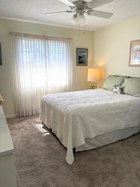 TB8439966 Property Photo