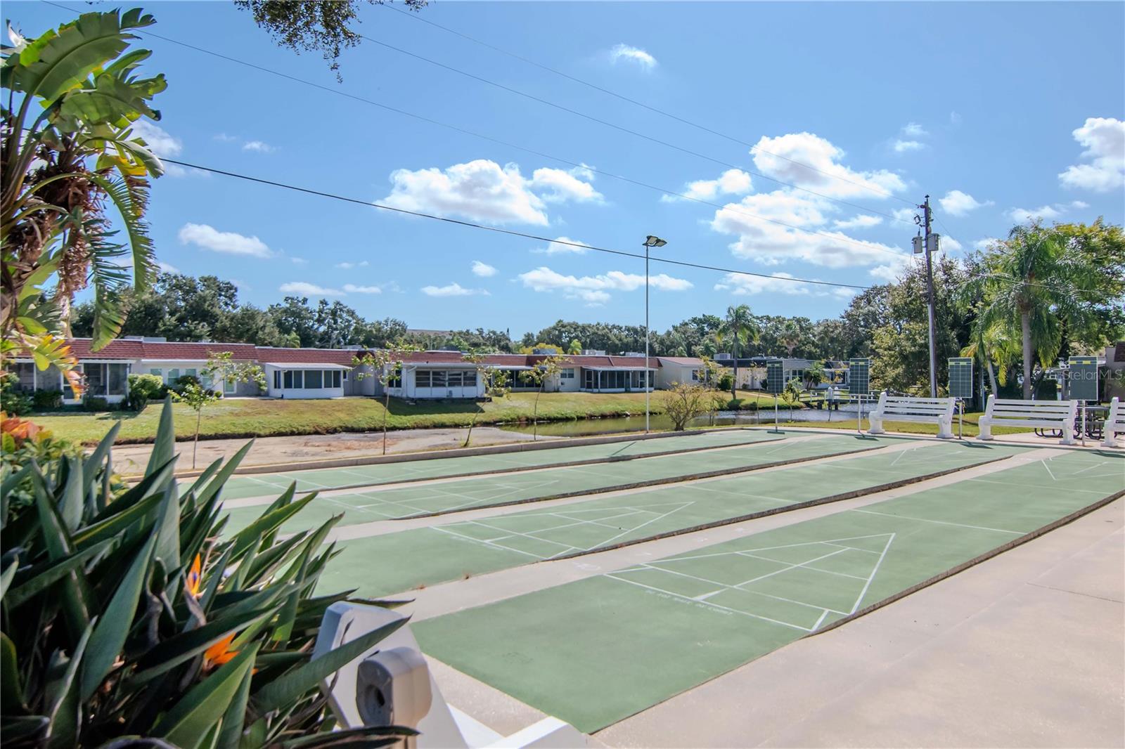 875 SKY LOCH DR S, DUNEDIN, FL, 34698