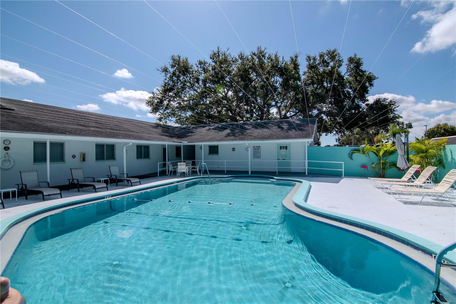 875 SKY LOCH DR S, DUNEDIN, FL, 34698