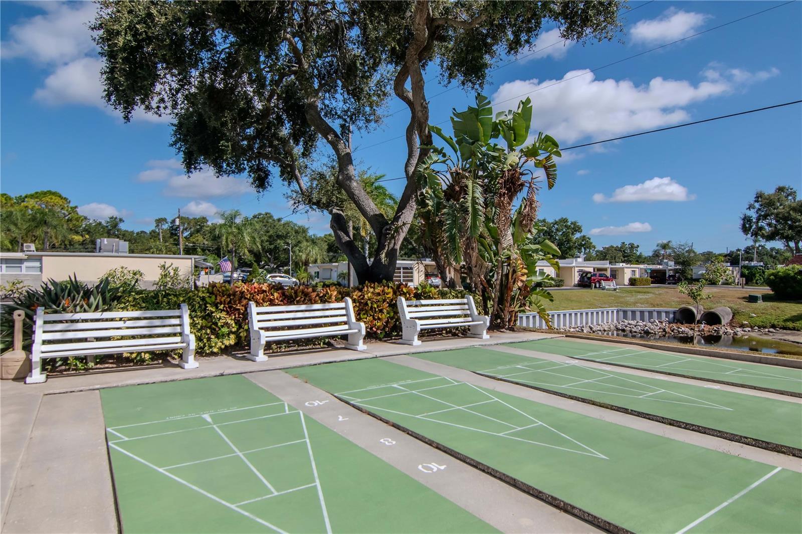 875 SKY LOCH DR S, DUNEDIN, FL, 34698